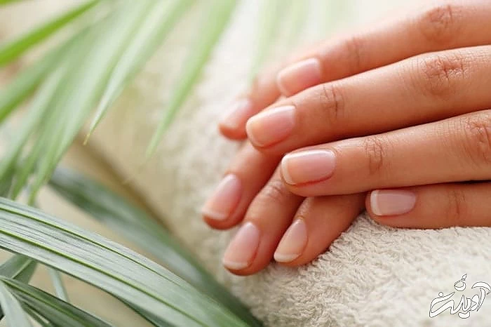 لایه های کراتین روی ناخن ناخن های سالم